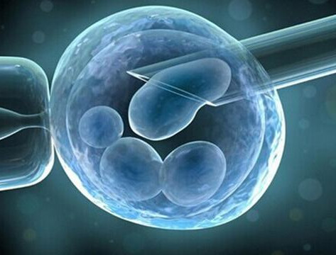 胚胎实验室